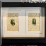A32. Two green scarab beetles in shadowbox. Frame: 6”h x 8”w 